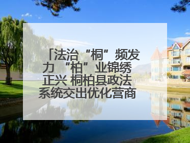 法治“桐”频发力 “柏”业锦绣正兴 桐柏县政法系统交出优化营商环境“成绩单”