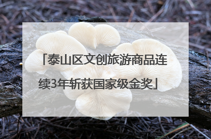 泰山区文创旅游商品连续3年斩获国家级金奖