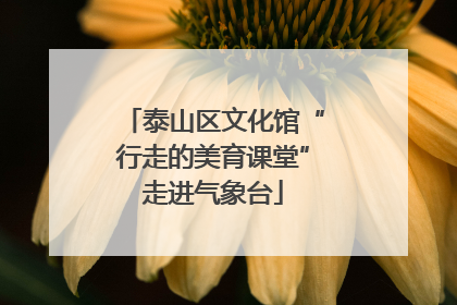 泰山区文化馆“行走的美育课堂”走进气象台