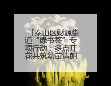 泰山区财源街道“绿书签”专项行动：多点开花共筑幼苗清朗成长空间