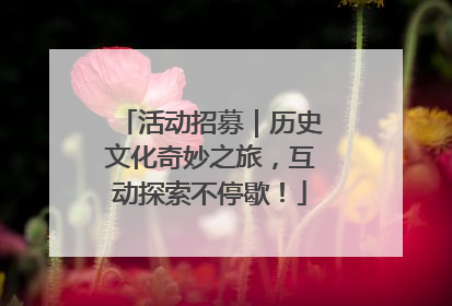 活动招募｜历史文化奇妙之旅，互动探索不停歇！