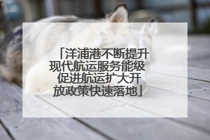 洋浦港不断提升现代航运服务能级 促进航运扩大开放政策快速落地
