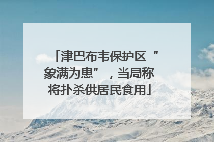 津巴布韦保护区“象满为患”，当局称将扑杀供居民食用