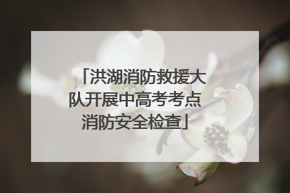 洪湖消防救援大队开展中高考考点消防安全检查