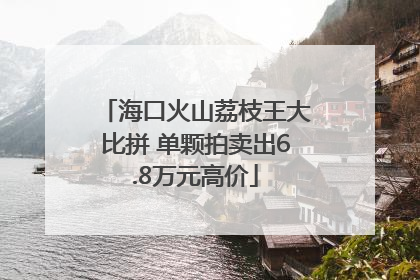 海口火山荔枝王大比拼 单颗拍卖出6.8万元高价