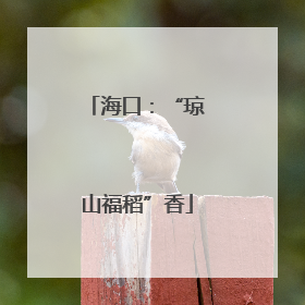 海口：“琼山福稻”香