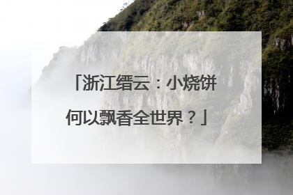 浙江缙云：小烧饼何以飘香全世界？