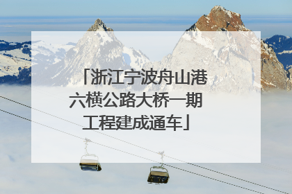 浙江宁波舟山港六横公路大桥一期工程建成通车