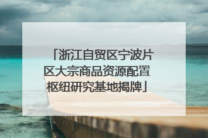 浙江自贸区宁波片区大宗商品资源配置枢纽研究基地揭牌