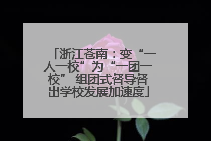 浙江苍南：变“一人一校”为“一团一校” 组团式督导督出学校发展加速度