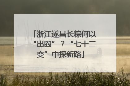 浙江遂昌长粽何以“出圈”？“七十二变”中探新路