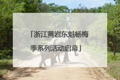 浙江黄岩东魁杨梅季系列活动启幕