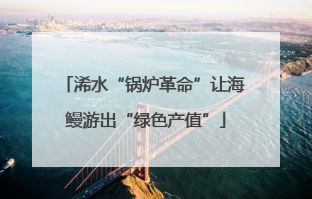 浠水“锅炉革命”让海鳗游出“绿色产值”