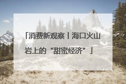 消费新观察丨海口火山岩上的“甜蜜经济”