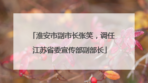 淮安市副市长张笑，调任江苏省委宣传部副部长