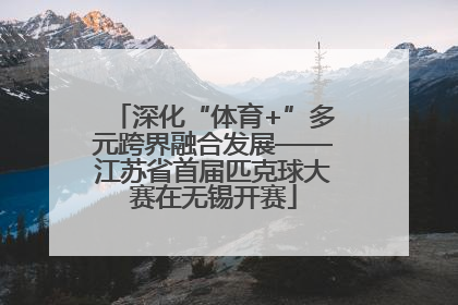深化“体育+”多元跨界融合发展——江苏省首届匹克球大赛在无锡开赛