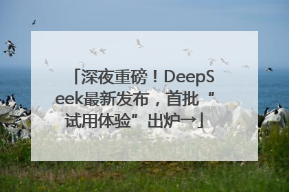深夜重磅！DeepSeek最新发布，首批“试用体验”出炉→