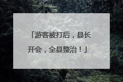 游客被打后，县长开会，全县整治！