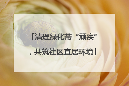 清理绿化带“顽疾”，共筑社区宜居环境