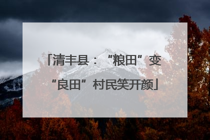 清丰县：“粮田”变“良田”村民笑开颜