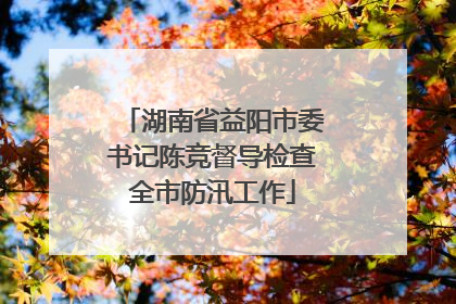 湖南省益阳市委书记陈竞督导检查全市防汛工作