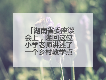 湖南省委座谈会上，隆回这位小学老师讲述了一个乡村教学点的温暖故事