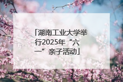 湖南工业大学举行2025年“六一”亲子活动