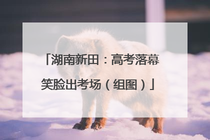 湖南新田：高考落幕 笑脸出考场（组图）