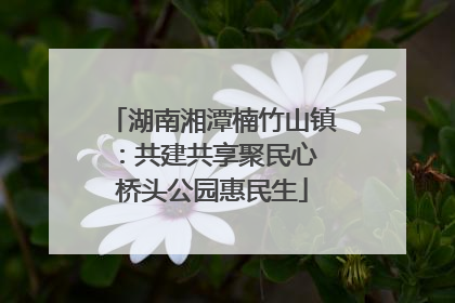 湖南湘潭楠竹山镇：共建共享聚民心 桥头公园惠民生