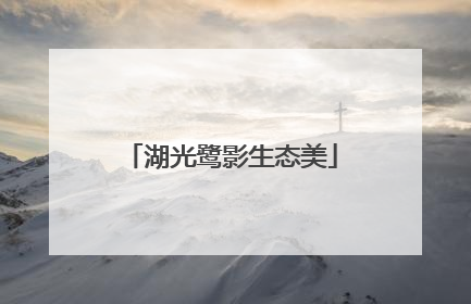 湖光鹭影生态美