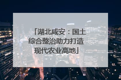 湖北咸安：国土综合整治助力打造现代农业高地