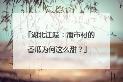 湖北江陵：潘市村的香瓜为何这么甜？