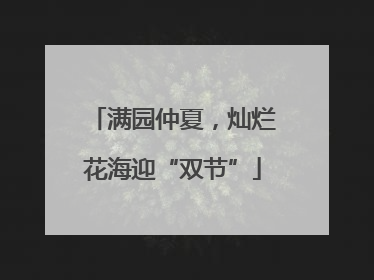 满园仲夏，灿烂花海迎“双节”