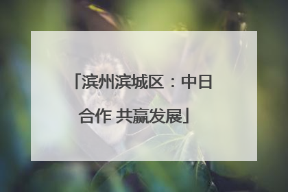 滨州滨城区：中日合作 共赢发展