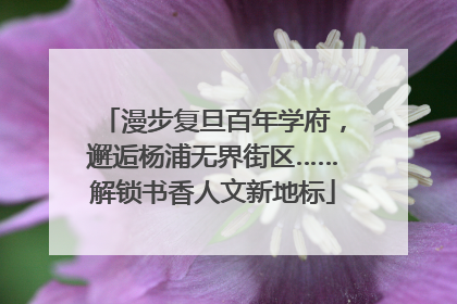 漫步复旦百年学府，邂逅杨浦无界街区……解锁书香人文新地标