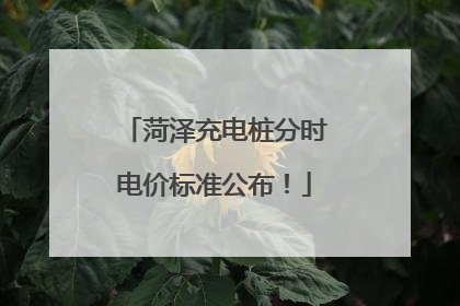 菏泽充电桩分时电价标准公布！