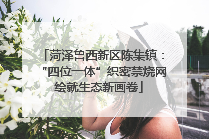菏泽鲁西新区陈集镇：“四位一体”织密禁烧网 绘就生态新画卷