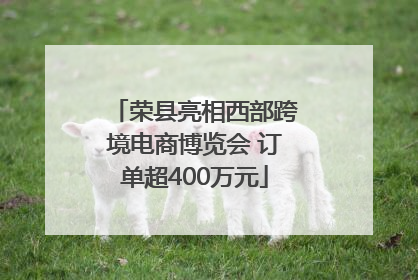 荣县亮相西部跨境电商博览会 订单超400万元