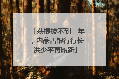 获提拔不到一年，内蒙古银行行长洪少平再履新