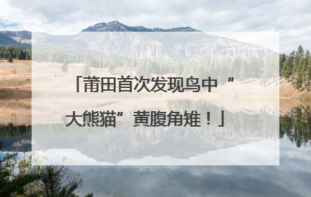 莆田首次发现鸟中“大熊猫”黄腹角雉！