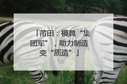 莆田：模具“集团军”，助力制造变“质造”