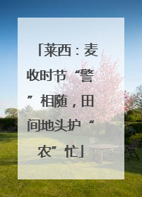 莱西：麦收时节“警”相随，田间地头护“农”忙