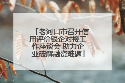 老河口市召开信用评价银企对接工作座谈会 助力企业破解融资难题