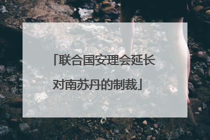 联合国安理会延长对南苏丹的制裁
