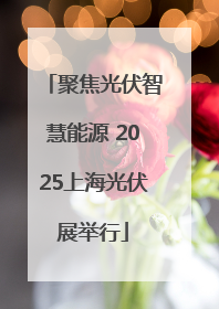 聚焦光伏智慧能源 2025上海光伏展举行