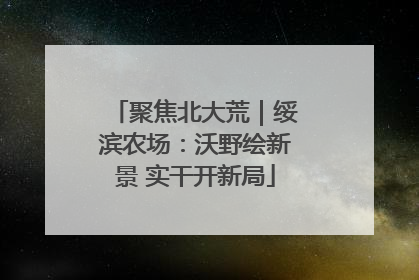 聚焦北大荒｜绥滨农场：沃野绘新景 实干开新局