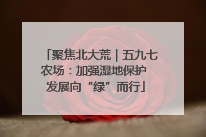 聚焦北大荒｜五九七农场：加强湿地保护 发展向“绿”而行