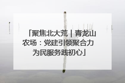 聚焦北大荒｜青龙山农场：党建引领聚合力 为民服务践初心