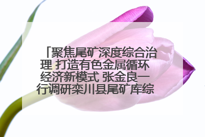 聚焦尾矿深度综合治理 打造有色金属循环经济新模式 张金良一行调研栾川县尾矿库综合治理工作