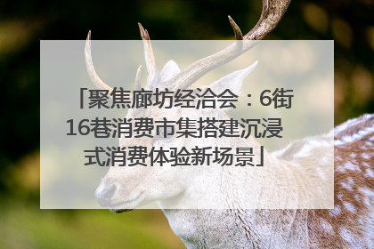 聚焦廊坊经洽会：6街16巷消费市集搭建沉浸式消费体验新场景